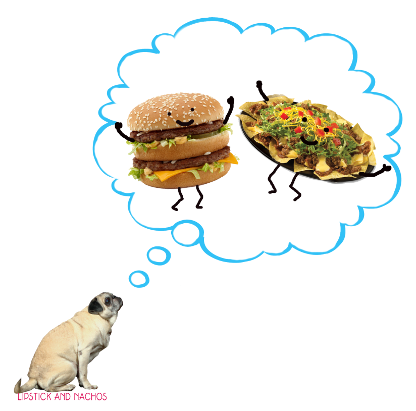 pug dreaming of big mac nachos 2